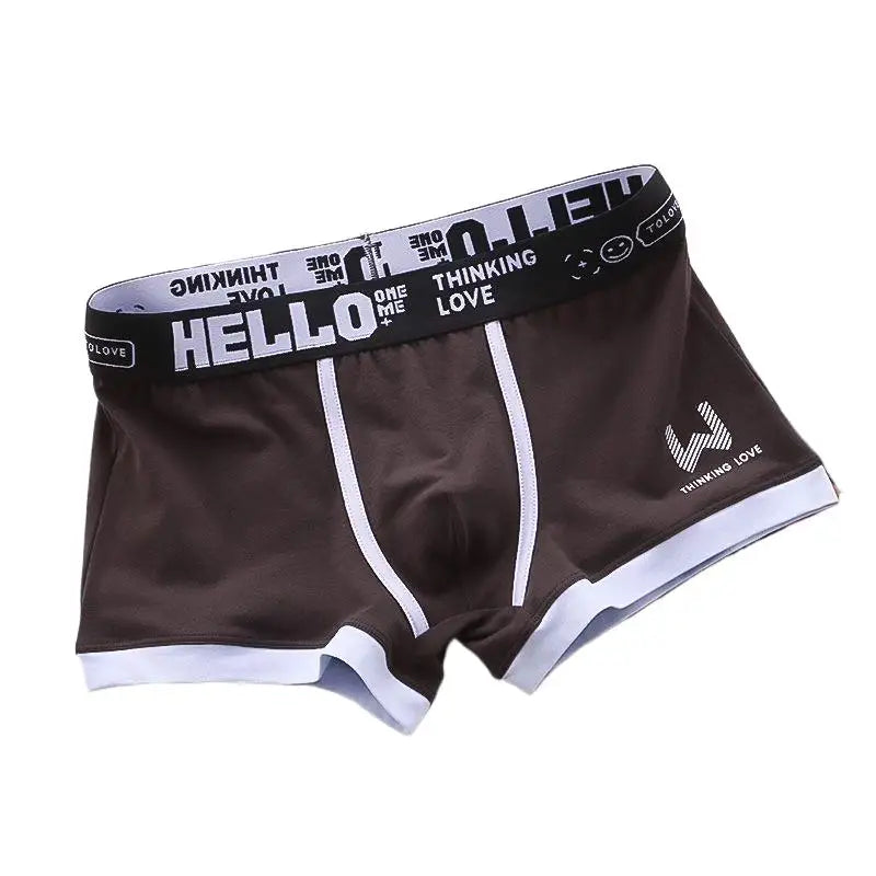 Sexy Plus Size Male Underpants Cuecas Calzoncillos Men Panties Cotton Man Underwear Mens Boxers Breathable Boxer Shorts Briefs