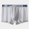 Custom Logo Men Boxer Briefs Factory Wholesale Ice Silk Breathable Underwear Seamless Male Panties OEM ODM Soft Man Underpants