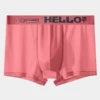 Custom Logo Men Boxer Briefs Factory Wholesale Ice Silk Breathable Underwear Seamless Male Panties OEM ODM Soft Man Underpants