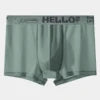 Custom Logo Men Boxer Briefs Factory Wholesale Ice Silk Breathable Underwear Seamless Male Panties OEM ODM Soft Man Underpants