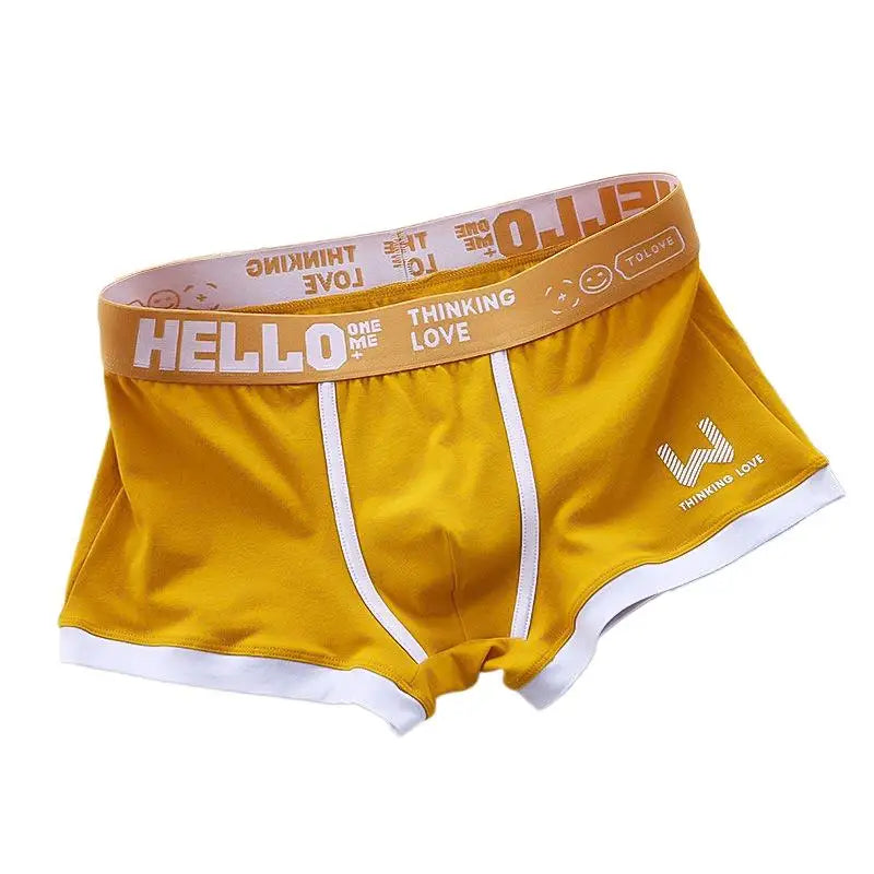 Sexy Plus Size Male Underpants Cuecas Calzoncillos Men Panties Cotton Man Underwear Mens Boxers Breathable Boxer Shorts Briefs
