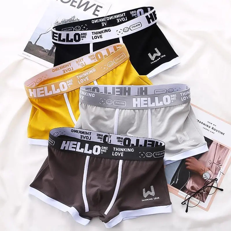 Sexy Plus Size Male Underpants Cuecas Calzoncillos Men Panties Cotton Man Underwear Mens Boxers Breathable Boxer Shorts Briefs