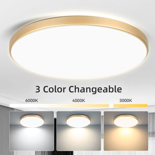 Led Ceiling Lights 220V Led Ceiling Lamp 18W 30W 40W 50W Lighting for Living Room Led Lights Fixture Modern Home Decoration