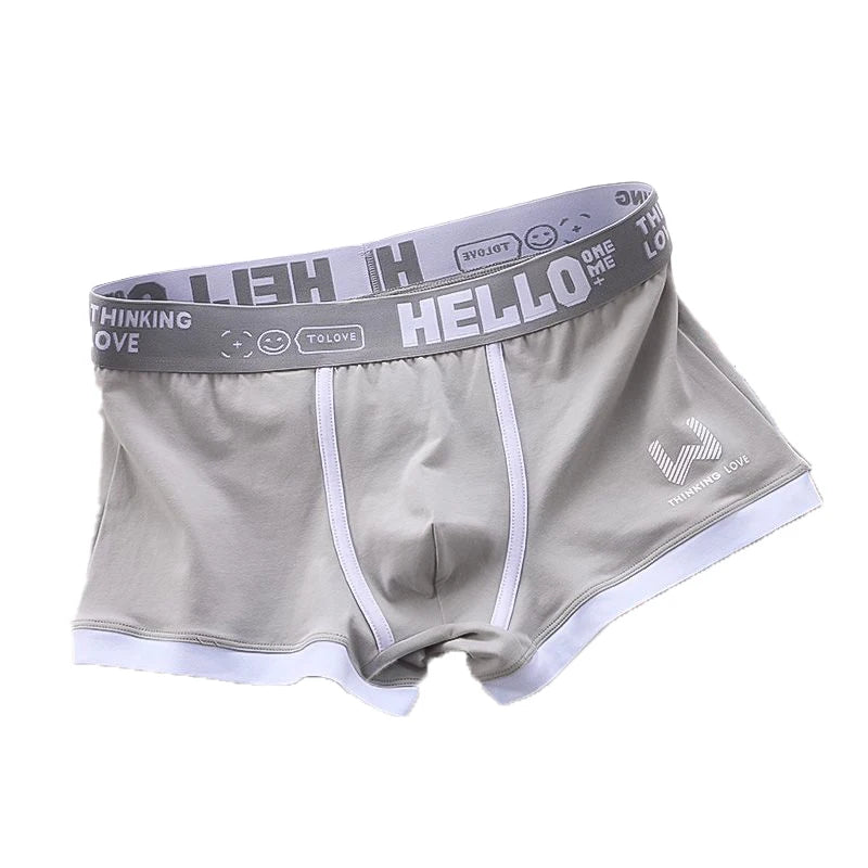 Sexy Plus Size Male Underpants Cuecas Calzoncillos Men Panties Cotton Man Underwear Mens Boxers Breathable Boxer Shorts Briefs