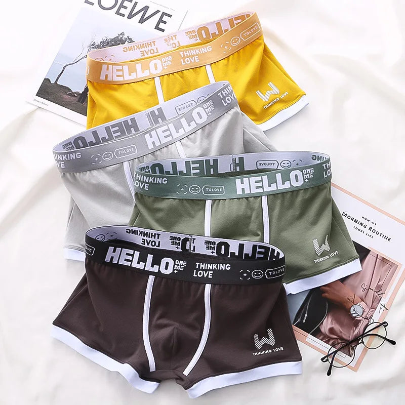 4PCS/LOT Men's Panties Cotton BoxerShorts Man Underwear Mens Boxers Sexy U Convex Male Underpants Plus Size Calzoncillos