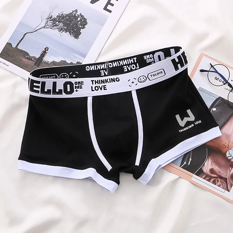 4PCS/LOT Men's Panties Cotton BoxerShorts Man Underwear Mens Boxers Sexy U Convex Male Underpants Plus Size Calzoncillos