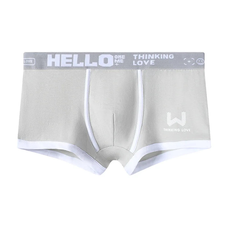4PCS/LOT Men's Panties Cotton BoxerShorts Man Underwear Mens Boxers Sexy U Convex Male Underpants Plus Size Calzoncillos