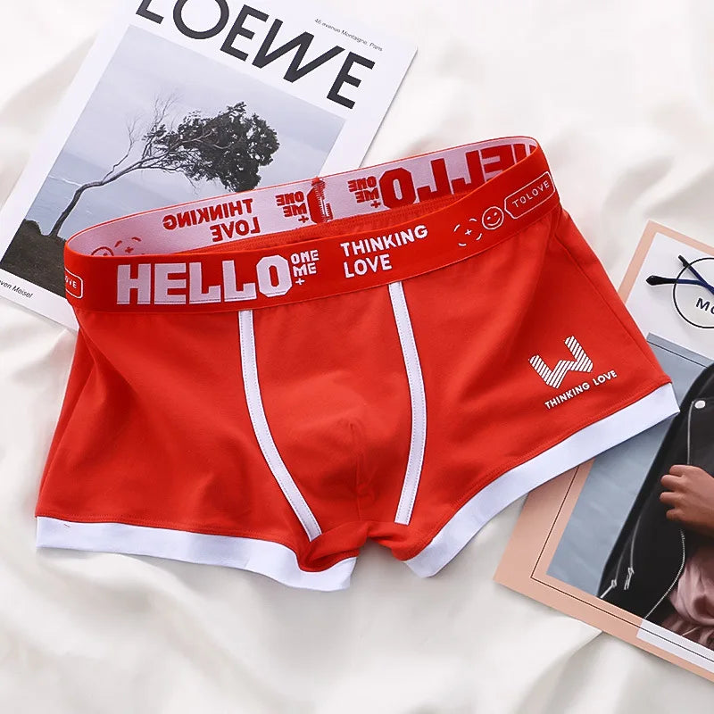4PCS/LOT Men's Panties Cotton BoxerShorts Man Underwear Mens Boxers Sexy U Convex Male Underpants Plus Size Calzoncillos