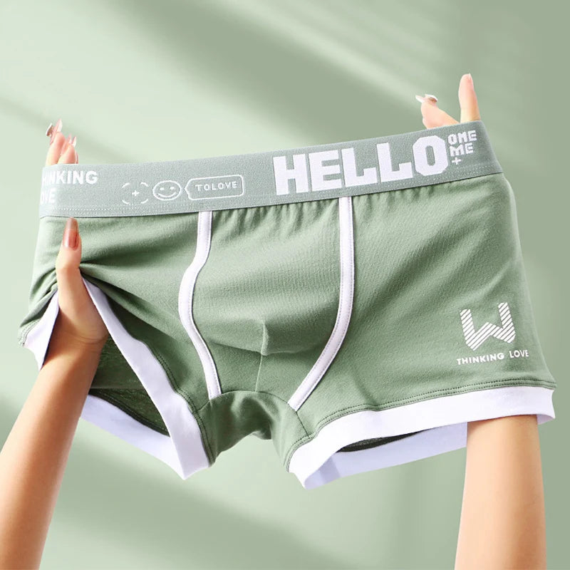 Sexy Plus Size Male Underpants Cuecas Calzoncillos Men Panties Cotton Man Underwear Mens Boxers Breathable Boxer Shorts Briefs