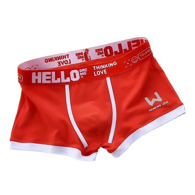 Sexy Plus Size Male Underpants Cuecas Calzoncillos Men Panties Cotton Man Underwear Mens Boxers Breathable Boxer Shorts Briefs