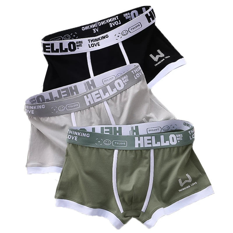 Sexy Plus Size Male Underpants Cuecas Calzoncillos Men Panties Cotton Man Underwear Mens Boxers Breathable Boxer Shorts Briefs