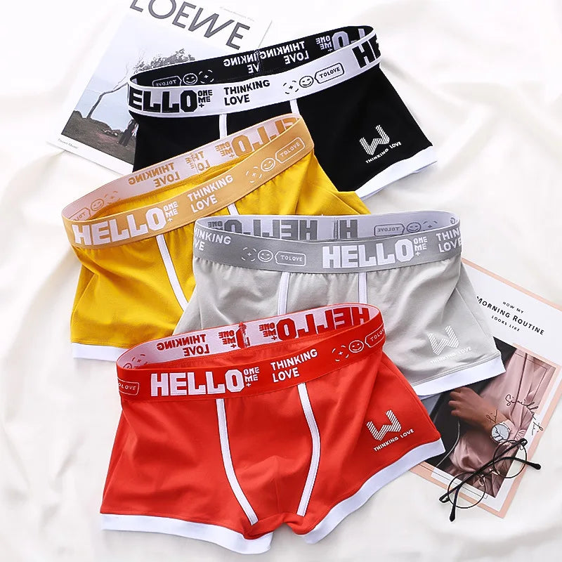 4PCS/LOT Men's Panties Cotton BoxerShorts Man Underwear Mens Boxers Sexy U Convex Male Underpants Plus Size Calzoncillos