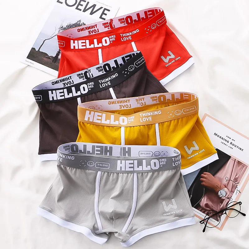 Sexy Plus Size Male Underpants Cuecas Calzoncillos Men Panties Cotton Man Underwear Mens Boxers Breathable Boxer Shorts Briefs