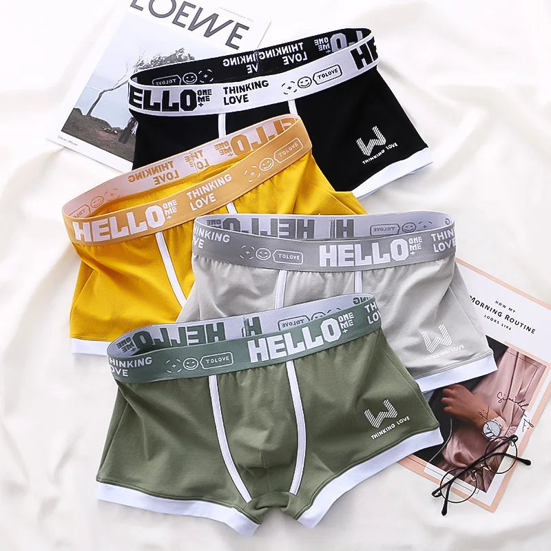 4PCS/LOT Men's Panties Cotton BoxerShorts Man Underwear Mens Boxers Sexy U Convex Male Underpants Plus Size Calzoncillos