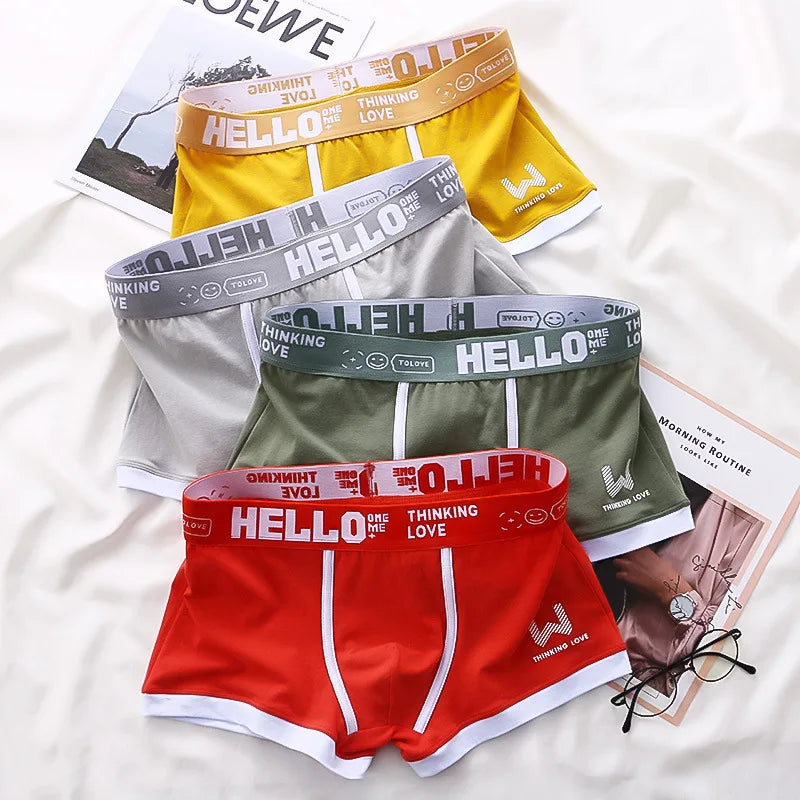 4PCS/LOT Men's Panties Cotton BoxerShorts Man Underwear Mens Boxers Sexy U Convex Male Underpants Plus Size Calzoncillos